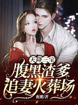 天降三宝:腹黑渣爹追妻火葬场栀紫