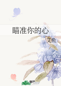 ��׼�����