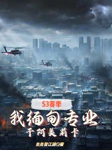 S3���������רҵ�ɰ�����