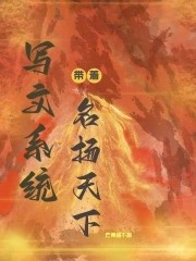 ����д��ϵͳ��������