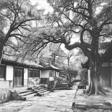 �˷�����li