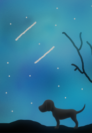 �����󰵴��Ľ�����