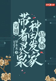 ��Խ��������Ȫ���﷢���з���