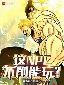 ��NPC�������棿